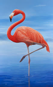 Submitted 1 month ago by samthehunter861. Flamingo Print Wall Art From My Original Oil Painting A2 Size 584 X 841mm Ebay Flamingo Art Print Flamingo Art Flamingo Pictures