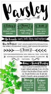 How To Use Parsley In Cooking (Like A Boss)