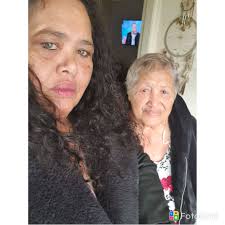 I FOUND FOUR BOXER PUPPIES ON THE SIDE OF THE ROAD—AND ONE OF THEM HAD A  COLLAR THAT CHANGED EVERYTHING