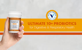 Amounts may be written on product labels as, for example, 1 x 10 9 for 1 billion cfu or 1 x 10 10 for 10 billion cfu. Amazon Com Ultimate 10 Probiotics 20 Billion Cfus For Digestive Health Immune Support And Respiratory Health 60 Vegetable Capsule By The Vitamin Shoppe Health Personal Care