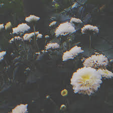 #aesthetic #aesthetic blog #aesthetic tumblr #aesthetics #art #gif #grunge #grunge blog #grunge tumblr #grungie #illusin. Vintage Grunge And Aestheticgrunge Image 6081057 On Favim Com