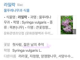 See more of 아이유(iu) on facebook. ì•„ì´ìœ  ì •ê·œ5ì§' ìƒë°˜ëœ ë§¤ë ¥ì˜ Bylac ê³¼ Hilac ì˜ë¯¸