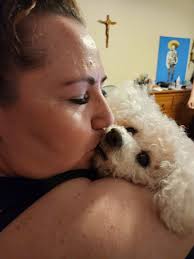 Grief and support for loss of a beloved pet