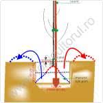 Plantarea nucilor își are secretele sale pentru ca toți puieții să se prindă. Plantarea Nucilor In Gradina Si Livada Horticultorul Ro