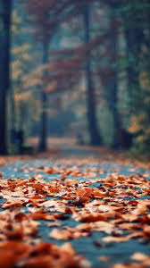 Autumn Rusty Leaves Park Alley Iphone 6 Wallpaper Herfst Fotografie Vriendenfotografie Natuurfotografie