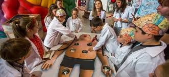 Hours, address, iulius mall reviews: Expozitie Educativa La Iulius Mall Timisoara Copiii Pot Invata
