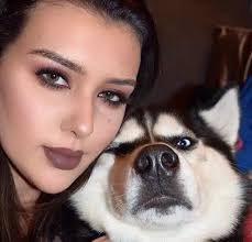 它凭着一个瞪谁谁怀孕的眼神，把自己捧成网红....-搜狐