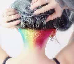Arctic Fox Hair Color Tessarr3 Rainbow Undercut Crueltyfreehair Vegan Arcticfoxhaircolor Pridehair Artistic Hair Hair Dye Colors Hair Color
