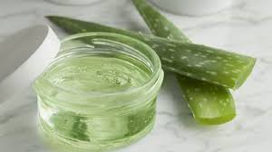 Le Meilleur Truc Pour Utiliser L Aloe Vera Et Faire Son Propre Gel Maison Recette Aloe Vera Cheveux Soin Visage Maison Demaquillant Maison