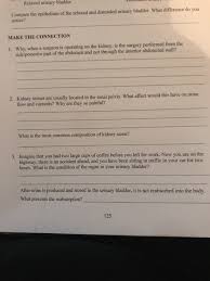 Solved Relaxed Urinary Bladder Compare The Epithelium Of Chegg Com