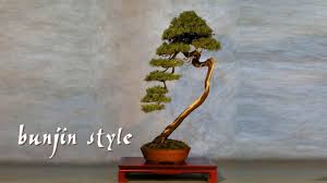 Bunjin Style Bonsai Youtube