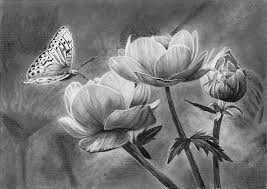 How To Draw A Butterfly On A Flower Online Art Lessons The idea of preparatory sketches is a tale as old as art. how to draw a butterfly on a flower