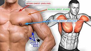 Chest Workout To Build Lean Muscle And Tone - Youtube