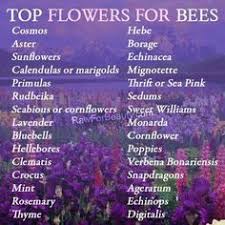Minecraft bees like to hang around three distinct biomes: 20 Bee Attracting Flowers Ideas Bee Garden Bee Bee Keeping