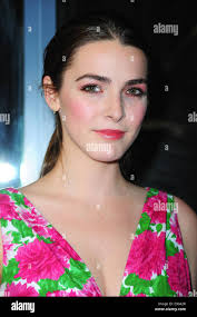 Live bee hi-res stock photography and images