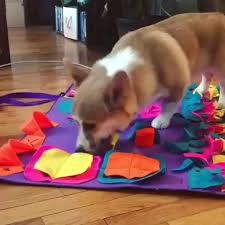 Maybe you would like to learn more about one of these? Snuffle Mat For Dog Video Homemade Dog Toys Dog Enrichment Snuffle Mat