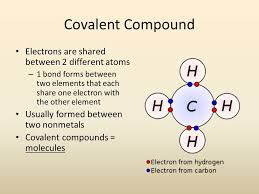 We did not find results for: Covalent Compounds Covalent Compound Electrons Are Shared Between 2 Different Atoms 1 Bond Forms Between Two Elements That Each Share One Electron Ppt Download