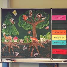 As Part Of The Forest Unit We Planned To Build A New Storey Here Today Schule Wald Grundschule Kunst Grundschule Grundschule
