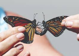 Dreamstime is the world`s largest stock photography community. Monarch Butterflies Can Have An Aggressive Side Beach Metro Community News