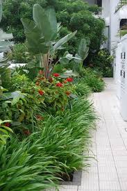Franchesca Watson Garden Designer Tropical Landscaping Beautiful Gardens Tropical Garden