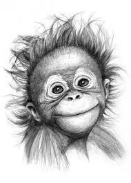 Pin By Mucke On Monkeys Pencil Drawings Of Animals Animal Drawings Monkey Art