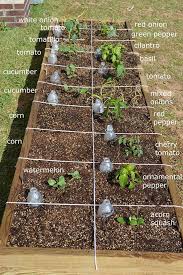 Easy Steps To Square Foot Gardening Success The Garden Glove