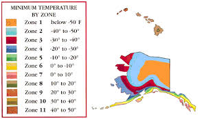 In our zone 8 it reliably returns each spring and is wider each year. Usda Hardiness Zone Map Direct Gardening