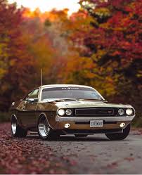 Image result for Dark Tan 1978 Challenger