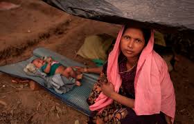Image result for rohingya