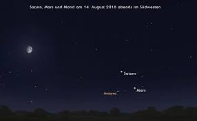 Sollte der stern sein leben in einer. Monate Astrokramkiste