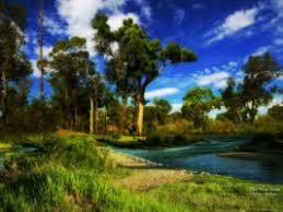Images & pictures of nature wallpaper download 30664 photos. New Nature Wallpaper Wallpapers For Free Download About 4 032 Wallpapers