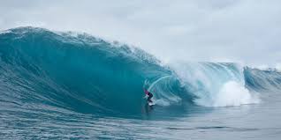 In june 2019, she was ranked no. Sally Fitzgibbons United Athletes Magazine