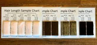 Clip Comb Sample Chart For Grooming Hair Length Chart Grooming Pet Grooming Business