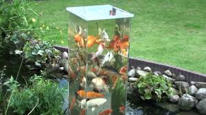 Pasalnya memelihara ikan hias bukan hanya sekedar hobi belaka melainkan hal itu akan membuat suasana hunian sejuk dan nyaman saat berada di dalam rumah. 21 Desain Kolam Ikan Minimalis Terbaru 2018 Yuk Lihat Riuh Imaji