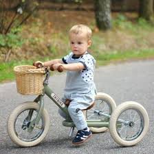 Trybike Laufrad In 2020 Laufrad Kinder Dreirad Kinder Bilderbucher Fur Kinder