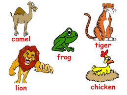 It is a wild animal. Animals Vocabulary Domestic And Wild Animals