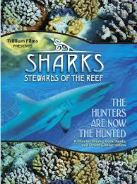 Watch Sharks: Stewards of the Reef