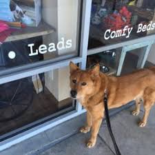 • meet adoptable pets at a petco near you. Pet Stores In San Antonio Yelp