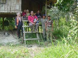 For years, the orang asli of pos lanai, pahang have fiercely protested for their ancestral native customary land and their forest to be left alone. Semelai People Wikipedia
