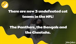 My mother and i had different attitudes about sex. 10 Bengal Jokes That Will Make You Laugh Out Loud