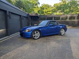 Image result for Blue Inca 2008 147