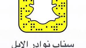 سناب نوادر الابل youtube