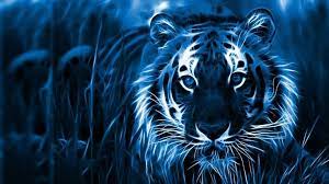 Laptop Wallpaper Hd 1080p Desktop Wallpapers Backgrounds Beautiful Wallpaper Hd Laptop Wallpaper
