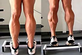 4 استراتيجيات لتمارين الساقين الخلفية Calf Muscle Workout Calf Exercises Muscle Fitness