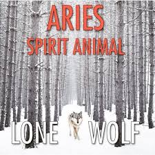 Aries Spirit Animal Lone Wolf Aries Spiritanimals Aries Aries Woman Aries Baby