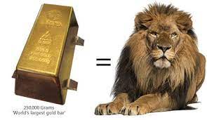 How much doesa gold bar weigh?have you ever seen one of those big gold bars an. How Much Does A Gold Bar Weigh Gold Bar Weight Facts