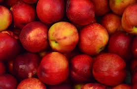 The perfect patio peach why bonfire peach trees? Patio Peaches Grow Your Own Fruit In A Tight Space