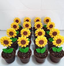 Letitia Kruger (krugerletitia1)