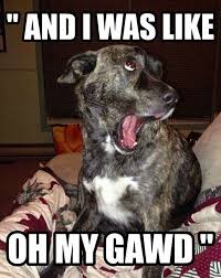 Pin By Sureshot1973 On Animal Humor Funny Animal Jokes Funny Animal Memes Animal Jokes