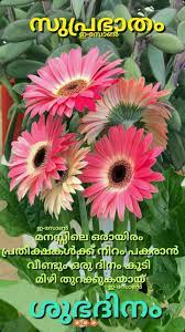 Pin By Ghildiyalsushama On Malayalam Wishes In 2020 Good Morning Wishes Good Morning Quotes Morning Quotes